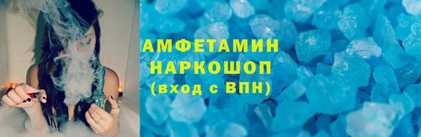 индика Вяземский