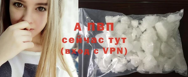 сатива Лихославль
