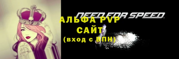 сатива Лихославль