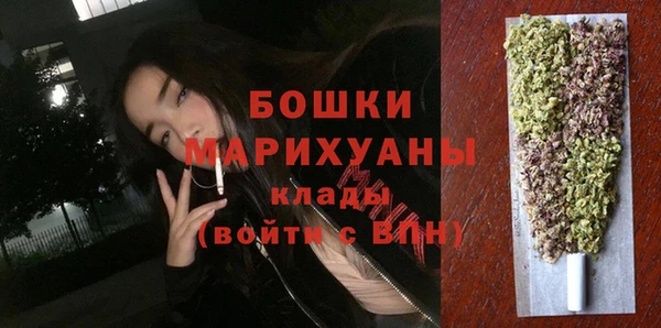 сатива Лихославль