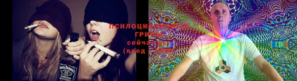 сатива Лихославль